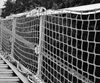 netz_Auffangnetz_Personenschutznetz_742_Dachfangwand_Dachschutzwand_Giebel_Absturzsicherung_Vertic_Mauderer_Alusystem_Klemme_Aluminium_modular_EN1263-1_EN13374_Kollektivschutz_Gelaender
